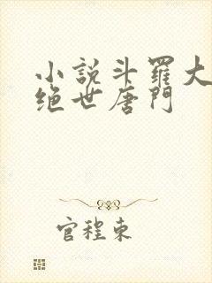 小说斗罗大陆2绝世唐门