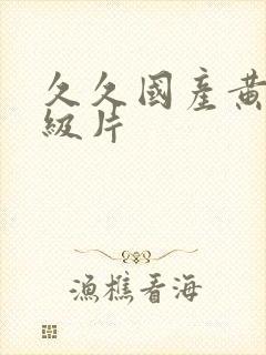 久久国产黄色一级片