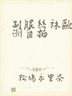 制服丝袜欧美亚洲自拍