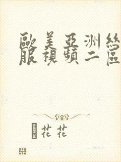 欧美亚洲丝袜制服视频二区