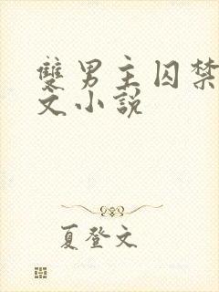 双男主囚禁生子文小说