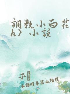 调教小白花〈高h〉小说