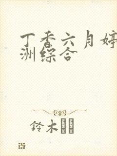 丁香六月婷婷亚洲综合