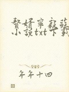 赘婿宁毅苏檀儿小说txt下载完整版