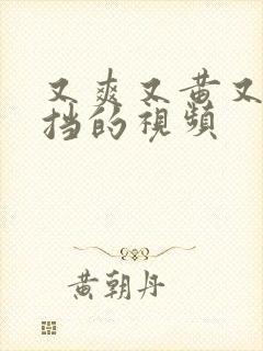 又爽又黄又无遮挡的视频