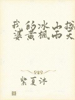 我的冰山总裁老婆黄枫雨天
