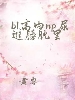 bl高肉np尿进膀胱里