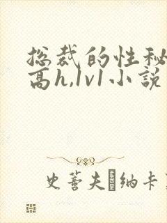 总裁的性秘书(高h,1v1小说