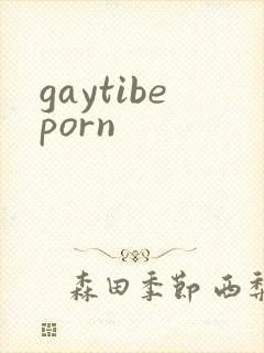 gaytibeporn
