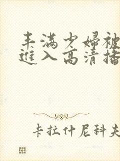 丰满少妇被猛烈进入高清播放小说