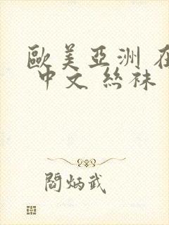 欧美亚洲 在线 中文 丝袜