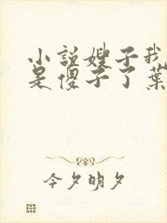 小说嫂子我真不是傻子了叶凡免费全集