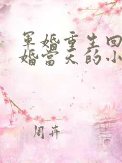 军婚重生回到结婚当天的小说推荐