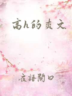高h的爽文