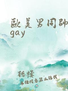 欧美男同帅激情gay