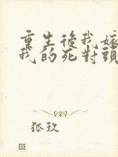 重生后我嫁给了我的死对头