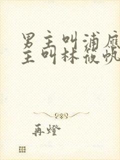 男主叫浦应辛女主叫林筱帆的小说