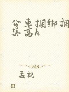 公车捆绑调教合集高h