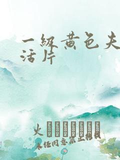 一级黄色夫妻生活片