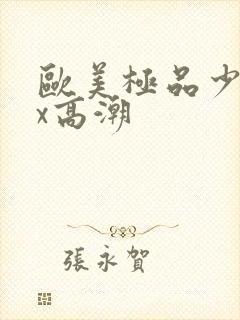 欧美极品少妇xx高潮