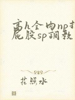 高h全肉np打屁股sp调教