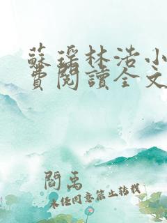 苏瑶林浩小说免费阅读全文最新章节