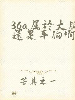 36a属于大胸还是平胸啊