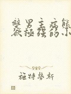 双男主病态占有欲极强的小说