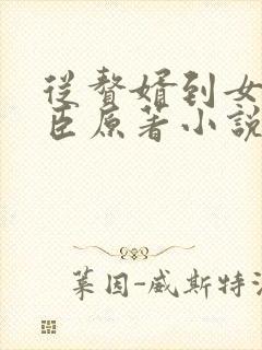 从赘婿到女帝宠臣原著小说