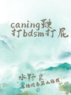 caning鞭打bdsm打屁股
