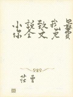 小说致我最爱的你全文免费阅读