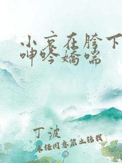 小哀在胯下疯狂呻吟娇喘