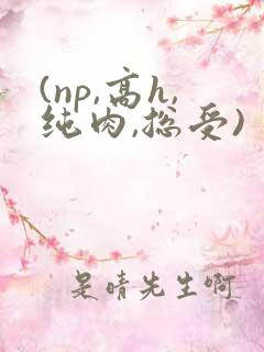 (np,高h,纯肉,总受)