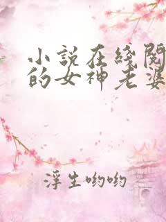 小说在线阅读我的女神老婆