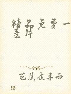 精品免费一级国产片