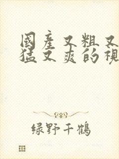 国产又粗又深又猛又爽的视频网站