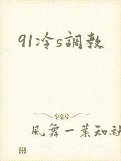 91冷s调教