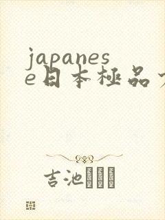 japanese日本极品少妇