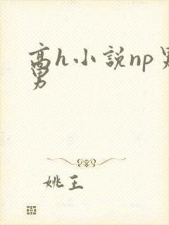 高h小说np男男