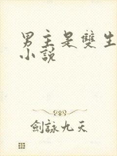 男主是双生子的小说