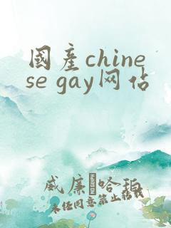 国产chinese gay网站