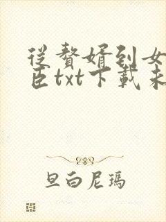 从赘婿到女帝宠臣txt下载未删减