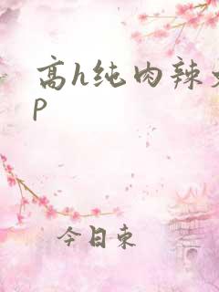 高h纯肉辣文np