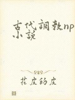 古代调教nph小说