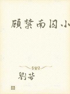 顾禁南囚小说