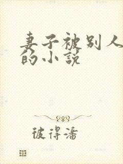 妻子被别人调教的小说
