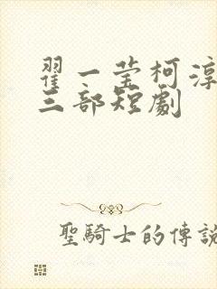 翟一莹柯淳最火三部短剧