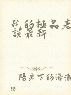 我的极品老婆小说最新