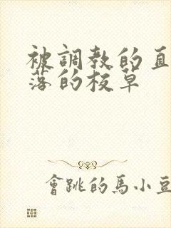 被调教的直男堕落的校草