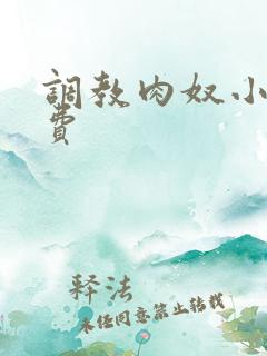 调教肉奴小说免费